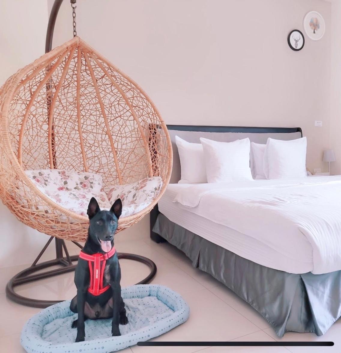 Happy Fat B&B 寵物友善 T'ai-tung Dış mekan fotoğraf